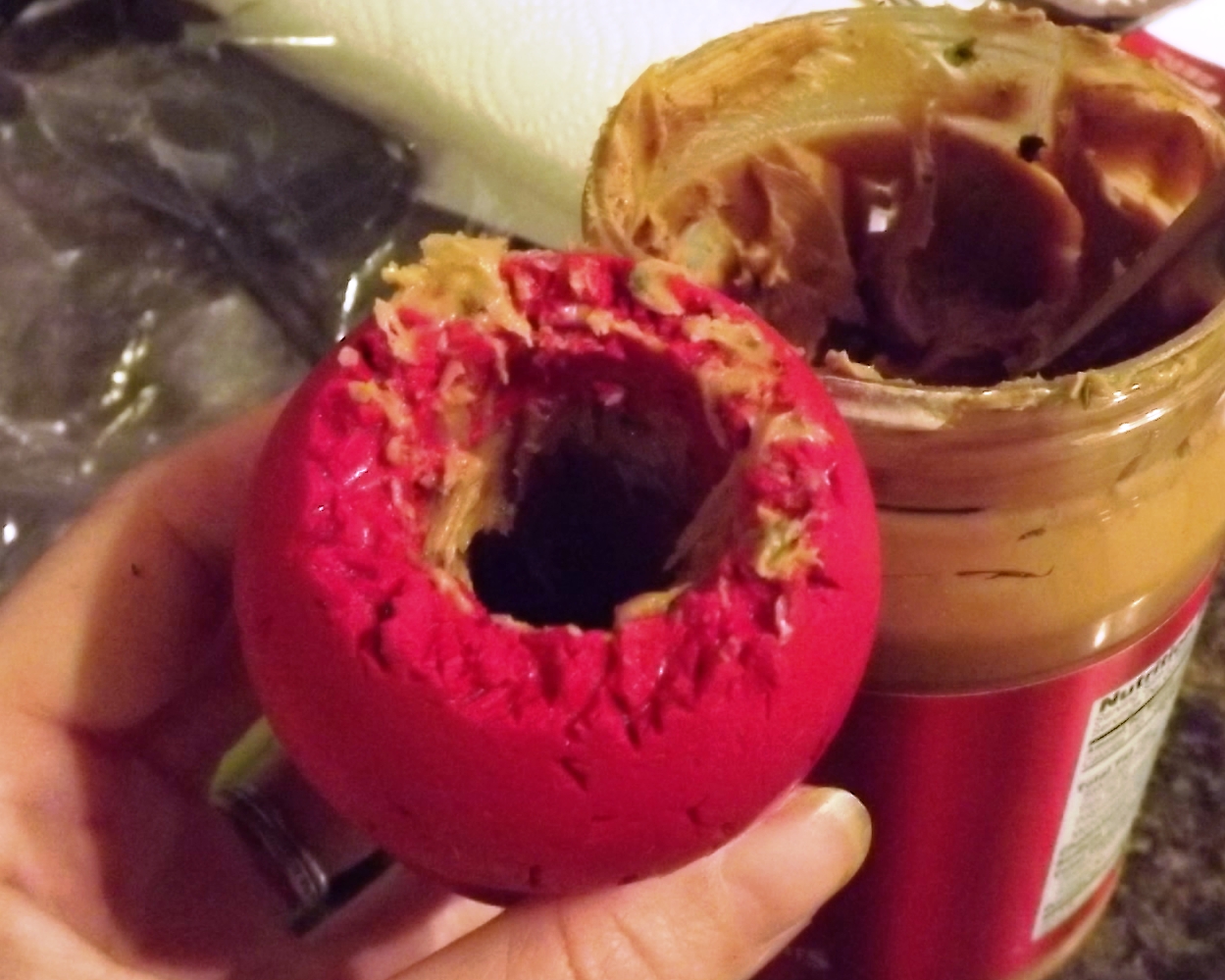 kong filled with peanut butter