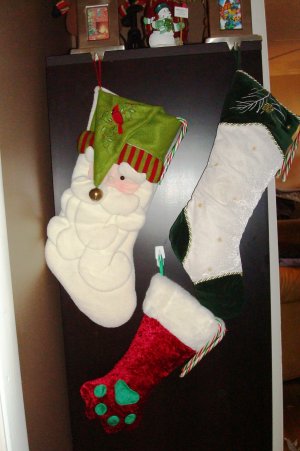 Hmm, we're probably going to have to get a "foster stocking," huh?